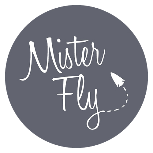 mister fly ミスターフライ