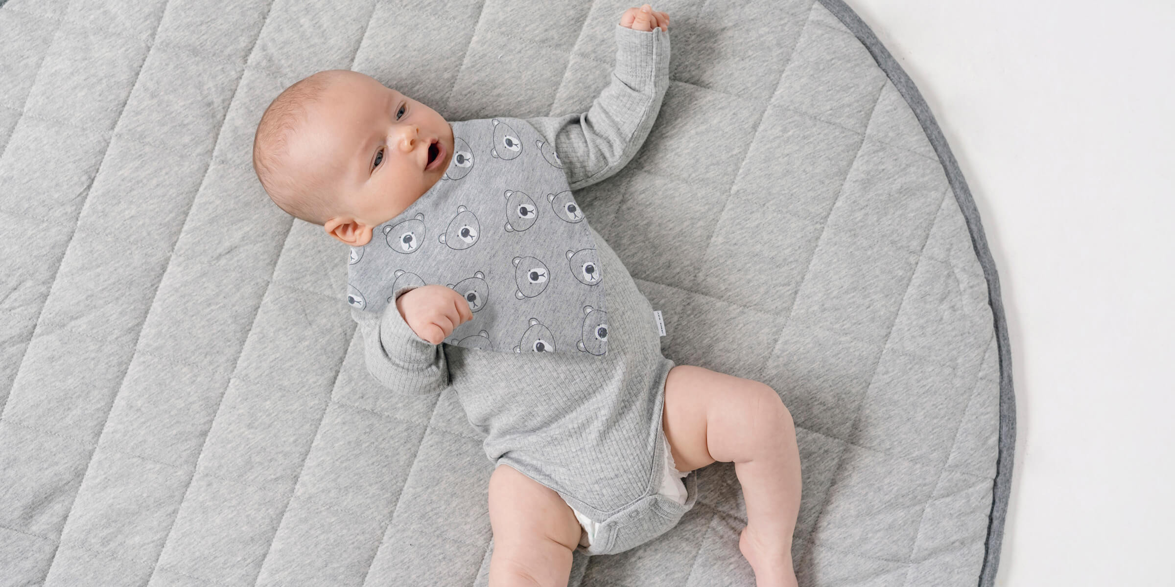 mister fly ミスターフライ ミスターフライ